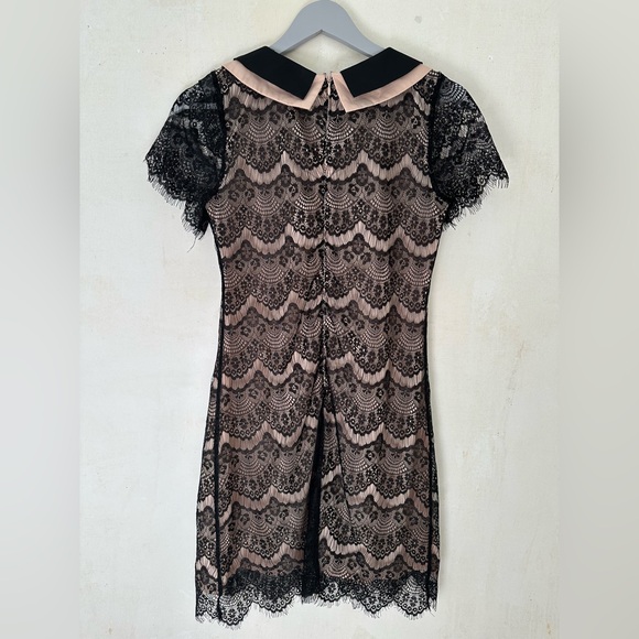A’REVE Anthropologie Lace Short Sleeve Peter Pan Collar Mini Dress Size Small - Picture 7 of 9